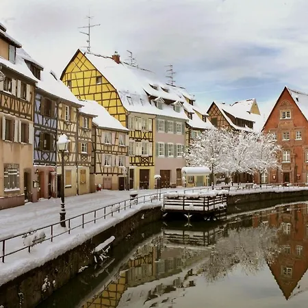 Kougelhopf 公寓 科尔马